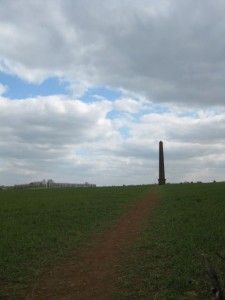 An Obelisk reach for the sky